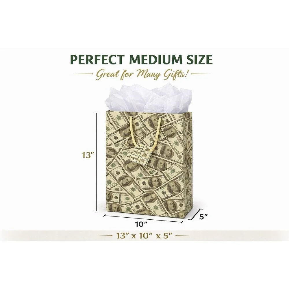 2 Pack Money Gift Bags w/ Tissue Paper 13x10x5 Birthday Graduation Holidays
